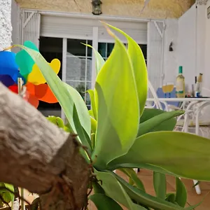  Apartamento San Antonio - Beach, Pool And Terrace